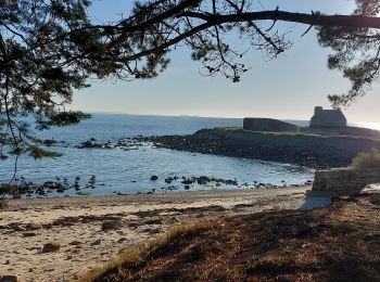 Trail Walking La Trinité-sur-Mer - PR_56_La-Trinite-Sur-Mer_BA_02_Circuit1b_Le-Sentier-Des-Douaniers_20221216 - Photo