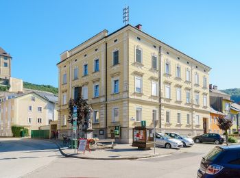 Tour Zu Fuß Steyregg - 3 Buchen Weg - Photo