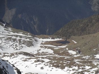 Percorso A piedi Pietraporzio - Testa dell'Ubac da Prati del Vallone - Photo