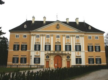 Tour Zu Fuß Lanzenkirchen - Frohsdorf (Rosalienweg) - Gespitzter Riegel - Photo