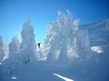 Excursión A pie okres Prievidza - Náučný chodník Vtáčnik - Photo