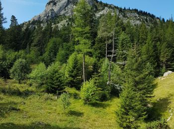 Percorso Marcia Lus-la-Croix-Haute - R48 - Gorges des Amayères - Photo