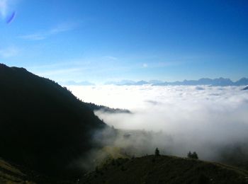 Tour Zu Fuß Peio - Sentiero dei Tedeschi - Photo