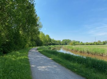 Percorso Marcia Scherpenheuvel-Zichem - S-GR Hageland : Testelt - Aarschot - Photo