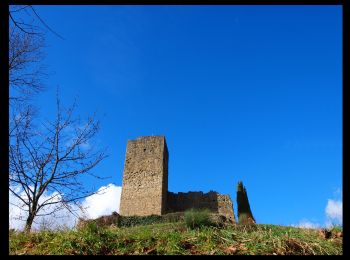 Tocht Te voet Poppi - La Via dei Legni - Photo