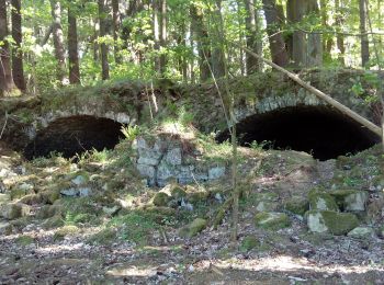 Trail On foot Lesná - [Z] naučná stezka historie sklářství - Photo