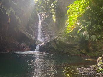 Excursión Senderismo Bouillante - Bois Malaisé  - Photo