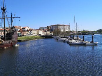 Tocht Stappen Vila Chã - villa de conde - Photo