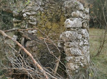 Excursión Senderismo Cuges-les-Pins - Jean de lorette, grotte et mémorial  - Photo