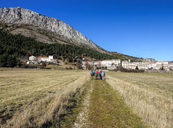 Tocht Stappen Andon - La Plaine de Caille - Photo