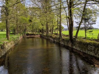 Trail Walking Pabu - Circuit du Trieux - Photo