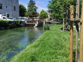 Tocht Stappen L'Isle-sur-la-Sorgue - îles sur la Sorgue - Photo