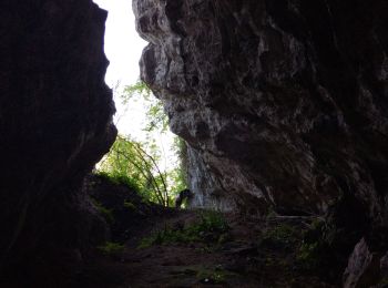 Excursión Senderismo Voreppe - le trou au loup  - Photo