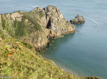 Excursión Senderismo Plouha - Les falaises de Plouha - Photo