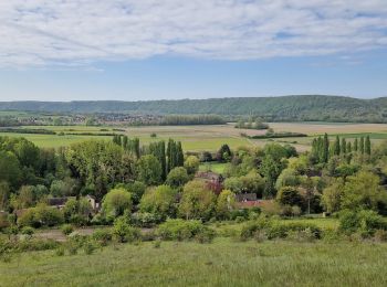 Excursión Senderismo Giverny - 20240425-Giverny Matin - Photo
