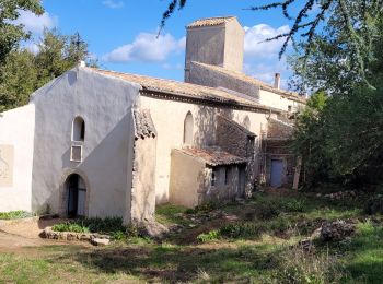 Tocht Stappen Sainte-Anastasie-sur-Issole - St Anastasie la chapelle St Quinis - Photo