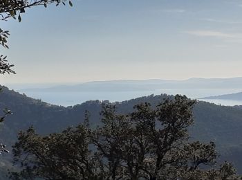 Tour Wandern Fréjus - petites maures  - Photo