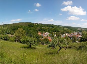 Excursión A pie Leidersbach - Panorama Besinnungsweg - Photo