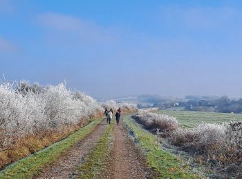 Trail Walking Cerfontaine - boucle Soumoy Senseilles - Photo