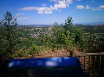 Percorso Marcia Volvic - La grande Hêtraie et le Puy de Paugnat.  - Photo