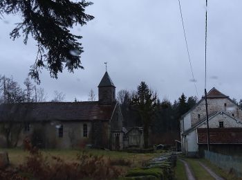 Randonnée 4x4 Fresse - 06-02-22 Chevestraye-abbaye mont de vannes-route du Cugnot - Photo