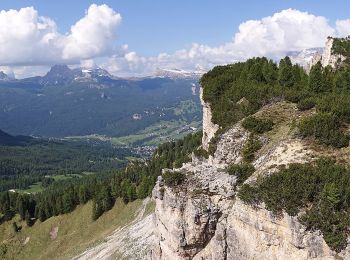 Trail On foot Cortina d'Ampezzo - Sentiero C.A.I. 206, Strada per Tre Croci - Lareto - Son Forca - Photo