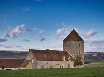 Randonnée Marche Rémalard en Perche - Sur les terres du siège de Rémalard par Guillaume le Conquérant 9,5 km - Photo