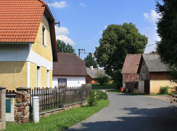 Tocht Te voet Dobřív - [Ž] Svojkovice - Dobřív - Photo