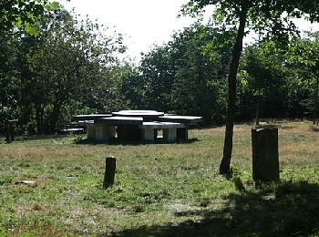 Percorso Marcia Le Poujol-sur-Orb - Du Poujol-sur-Orb à la Forêt Domaniale des Écrivains Combattants - Photo