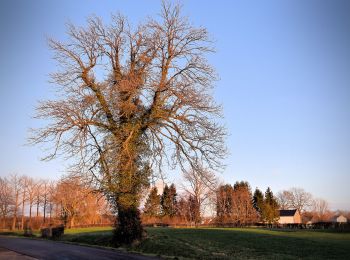 Randonnée A pied Raeren - Raeren (Rollstuhl) - Photo