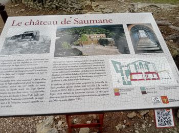 Percorso Marcia Saumane-de-Vaucluse - saumane et ses environs - Photo