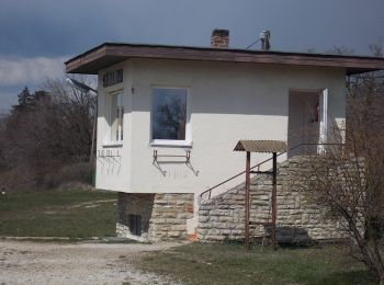 Tour Zu Fuß Unbekannt - Z↺ Széchenyi-hegy - Photo