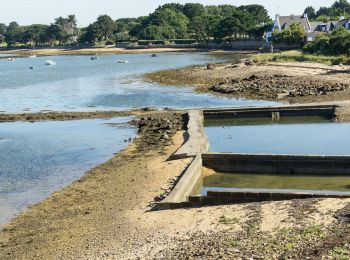 Excursión Senderismo Larmor-Baden - De la plage du Berchis au village de Mériadec en aller-retour - Photo