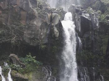 Tour Wandern Saint-Paul - lacs des cormorans - Photo