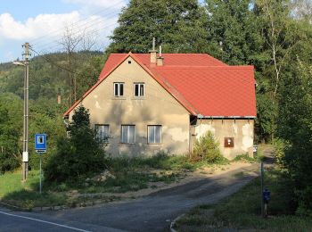 Tour Zu Fuß Tannwald - [Ž] Dolní Smržovka - Příchovice - Photo