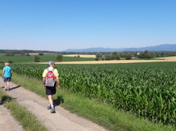 Randonnée Marche Heimsbrunn - Heimsbrunn  - Photo