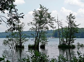 Percorso A piedi Joachimsthal - Rundwanderweg Werbellinsee - Photo