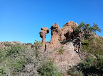 Excursión Senderismo Le Muy - Rocher de Roquebrune, Les 2 frères - Photo