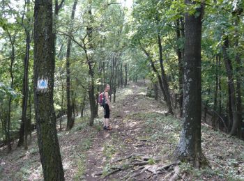 Percorso A piedi Gyöngyössolymos - Z4 (Lajosháza - Ágasvár) - Photo