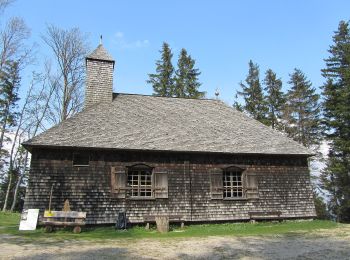 Percorso A piedi Thalgau - Kolomanskirche Rundweg - Photo