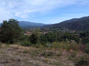 Excursión Senderismo Céret - le ventous ceret - Photo