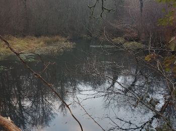 Tocht Stappen Latronquière - étang du roc - Photo