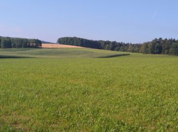 Tocht Stappen Pouxeux - mp pouxeux 2022 - Photo