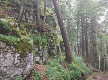 Tocht Stappen Bellefontaine - Des lacs de Bellefontaine vers le belvédère de la roche Bernard. - Photo