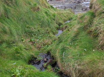 Tocht Stappen West Cork - toe head and cliffs - Photo