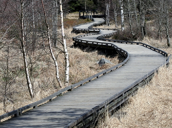 Tocht Stappen Waimes - Wandering Peak Beer Grand cru (new) - Photo