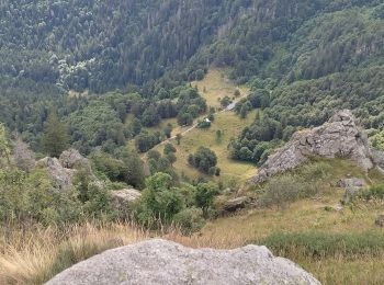 Tour Wandern Xonrupt-Longemer - Pic du Hohneck - Photo