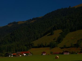 Excursión A pie Gemeinde Walchsee - Wanderweg 55 - Kaiserwinkl - Photo