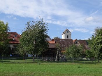 Tocht Te voet Ammerbuch - Schönbuchspitzrunde - Photo