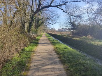 Tour Wandern Gif-sur-Yvette - La vallée de la Mérantaise - Photo